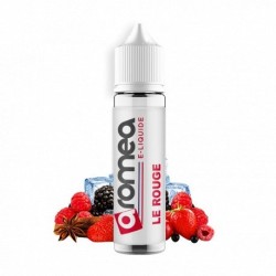 E-liquide PINEAPPLE 50ml - Fresh & Sweet