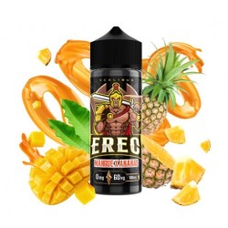 E-liquide 100ml Xcalibur Ereg