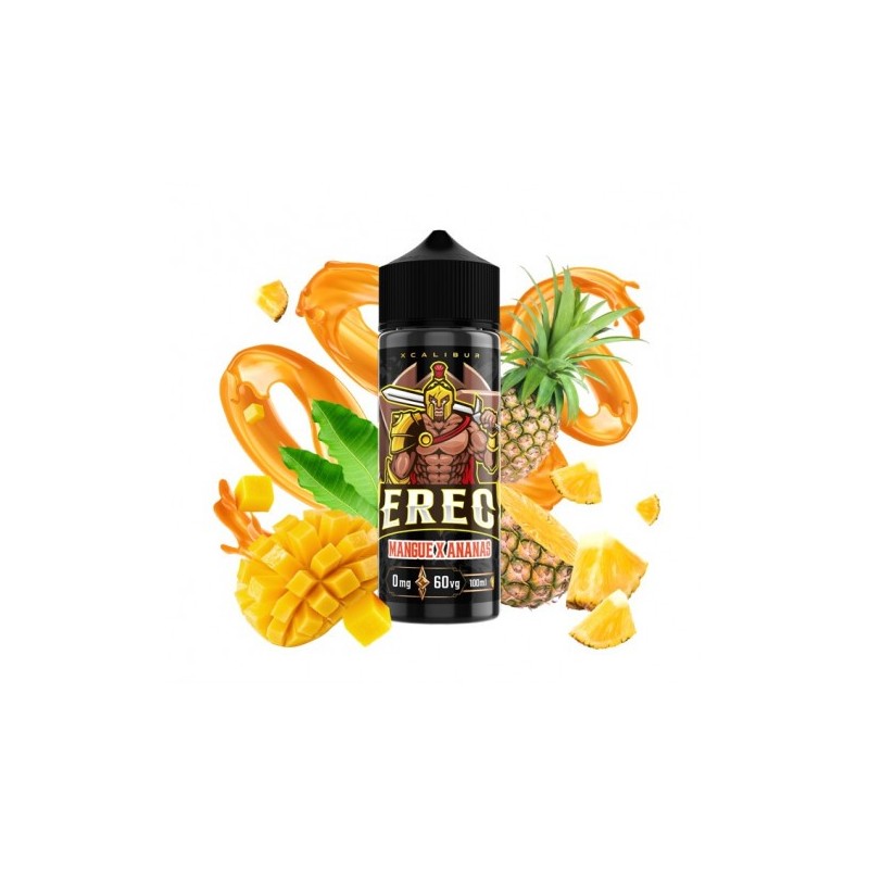 E-liquide 100ml Xcalibur Ereg